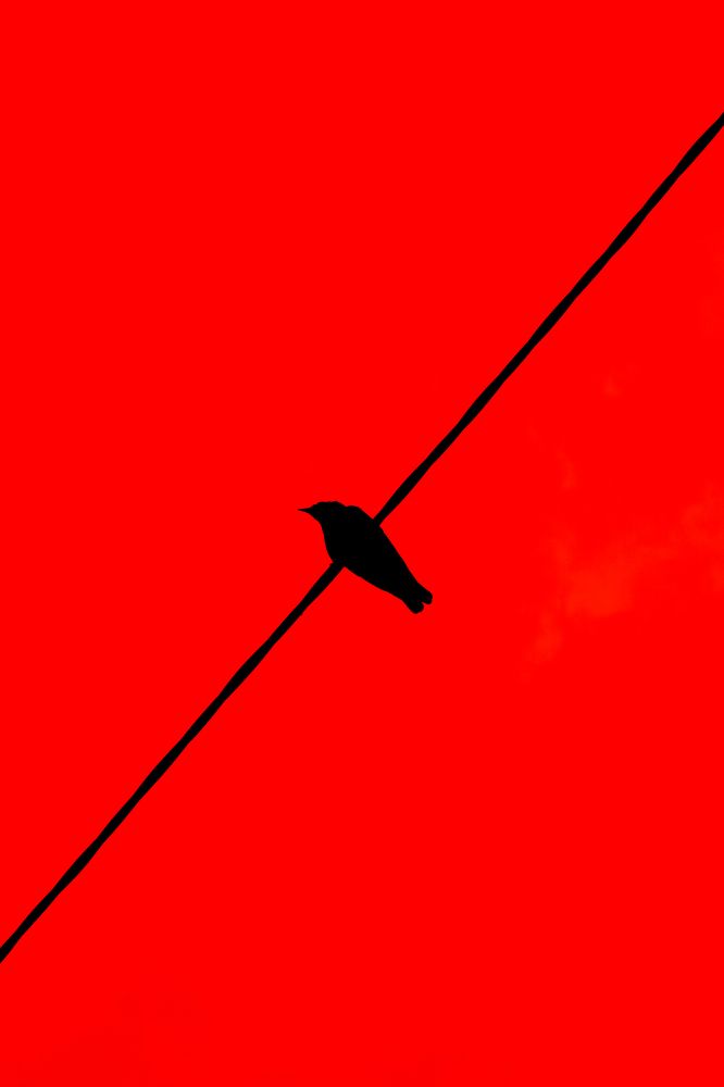 Photograph by Александр Поданев