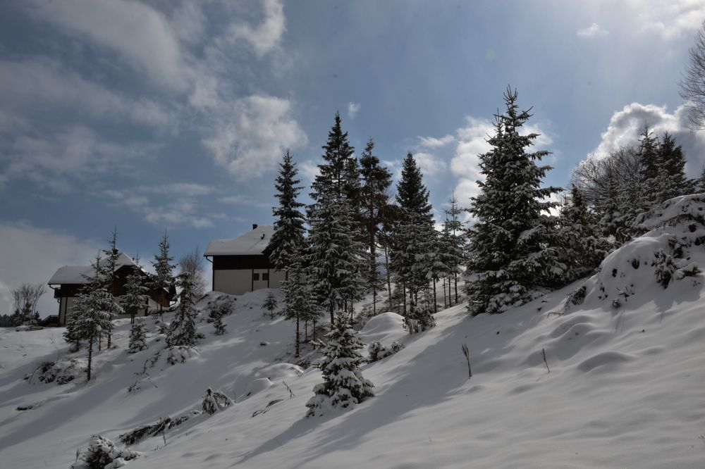 Photograph by Aleksandra Spasojevic