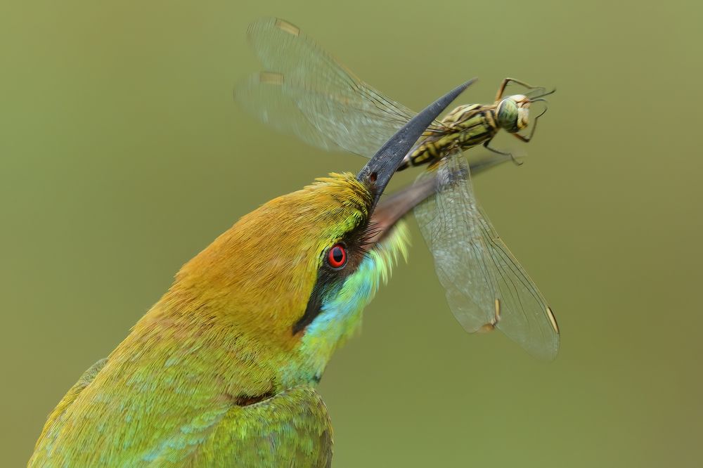 Photograph by Nghia Nguyen Huu