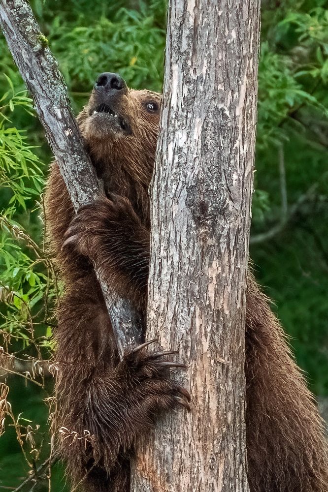 Photograph by Юрий Гордонов