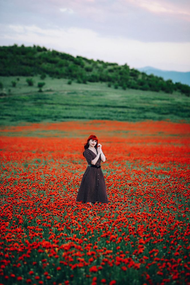 Фотография автора giorgi solomnishvili