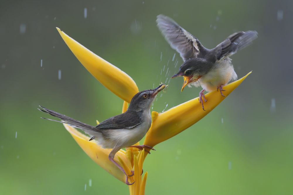 Photograph by Nghia Nguyen Huu