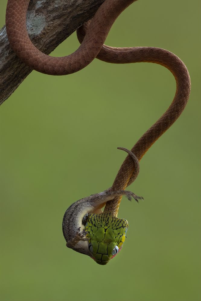 Photograph by Nghia Nguyen Huu