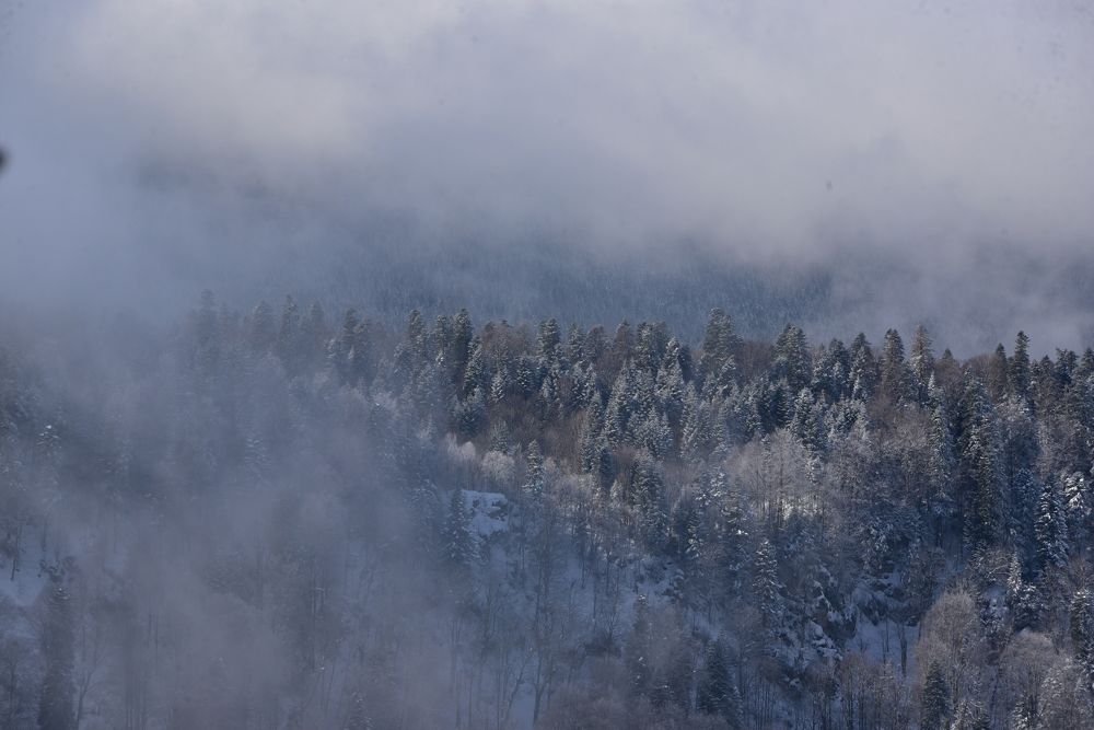 Photograph by Алексей Черкашин