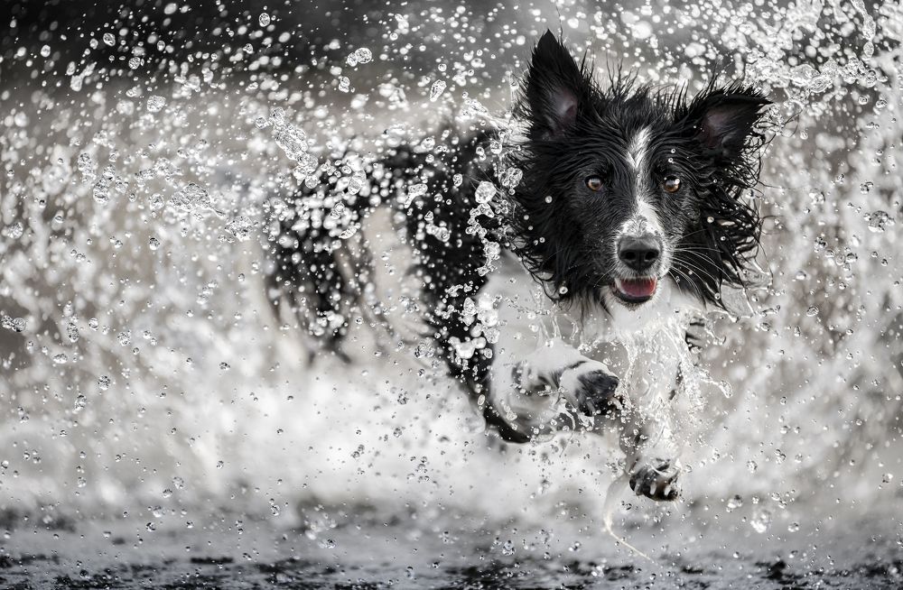 Turn Water Into Diamonds.