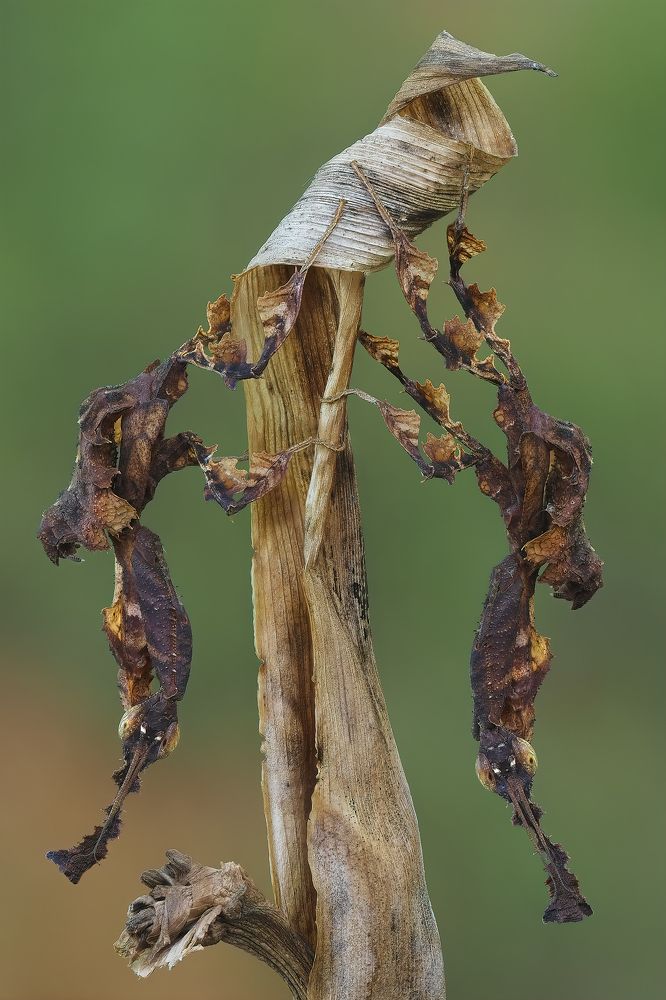 Photograph by Nghia Nguyen Huu