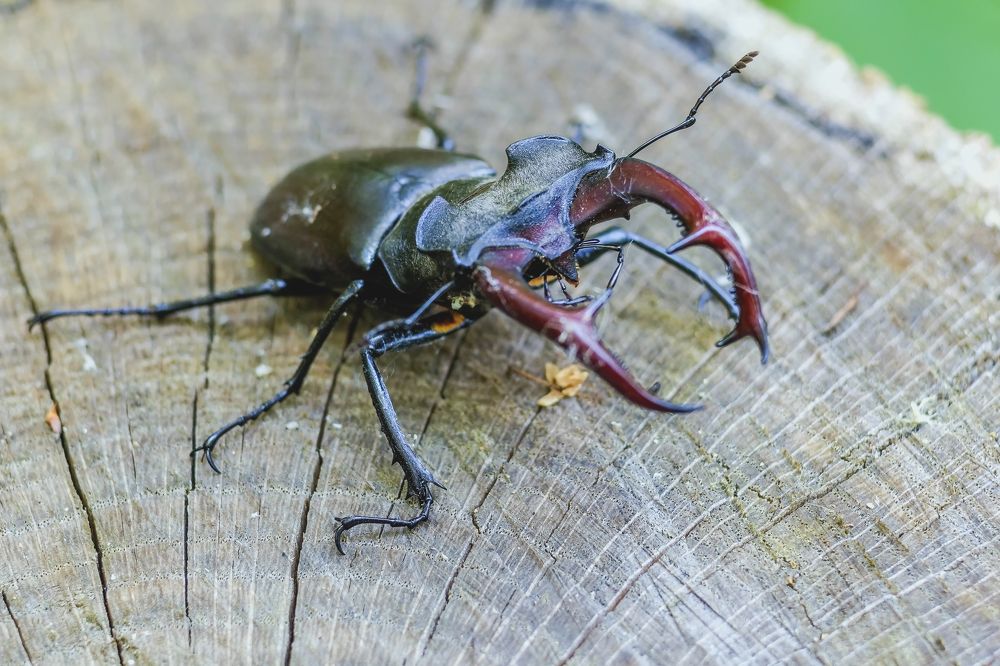 Photograph by Юрий Стародубцев