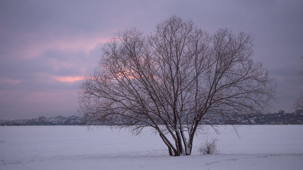 Photograph by Александр Битюков