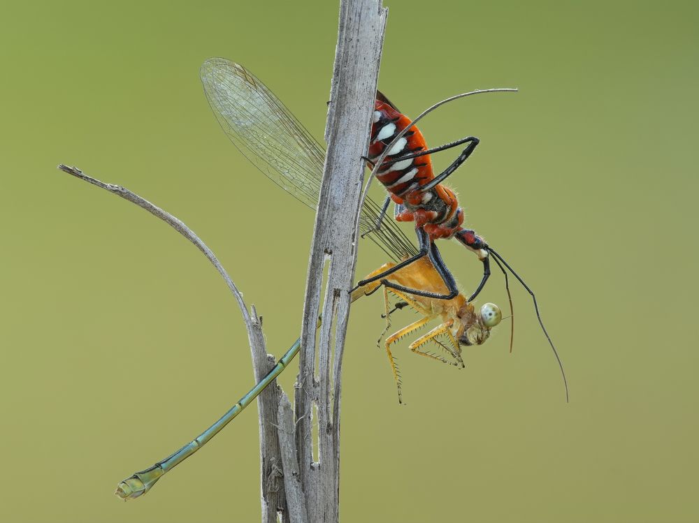 Photograph by Nghia Nguyen Huu