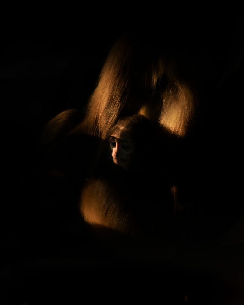 Photograph by Parnava Das