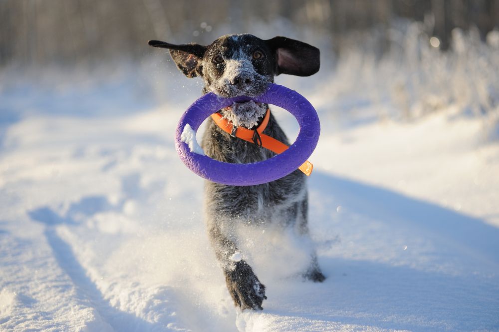 Photograph by Михаил Кинеев