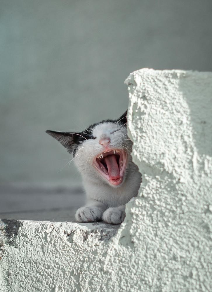 Photograph by Нина Тарашкевич