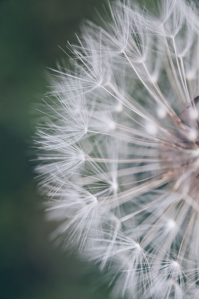 Photograph by Дарья Григорьева