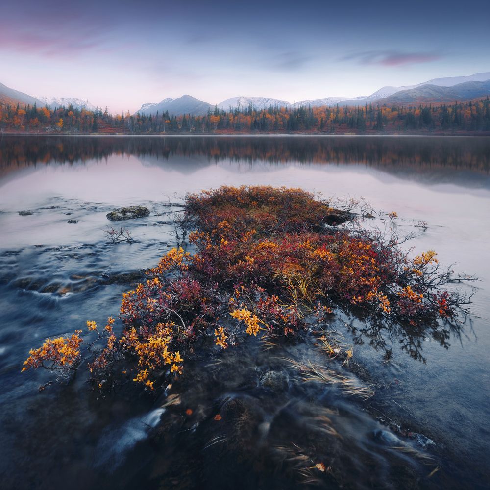 Photograph by Алексей Соколенко