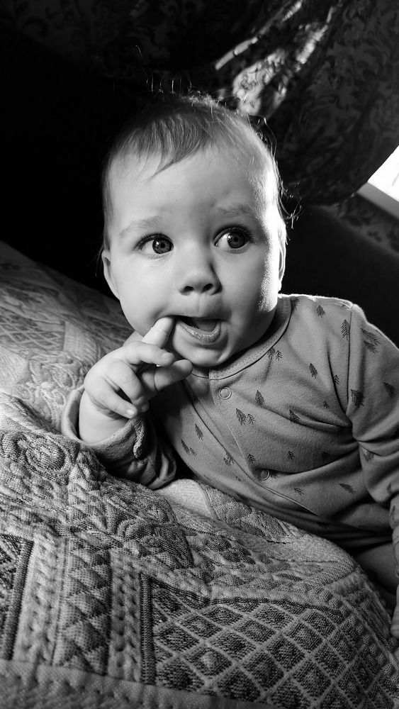 Фотография автора Светлана Волынская