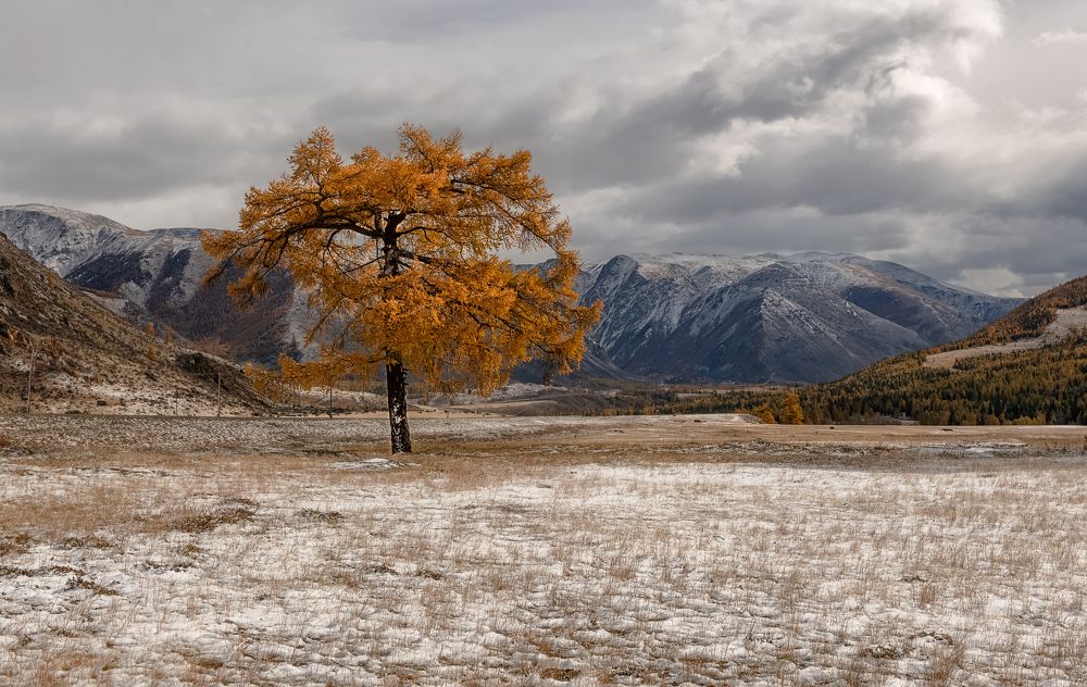 Photograph by Марина Фомина