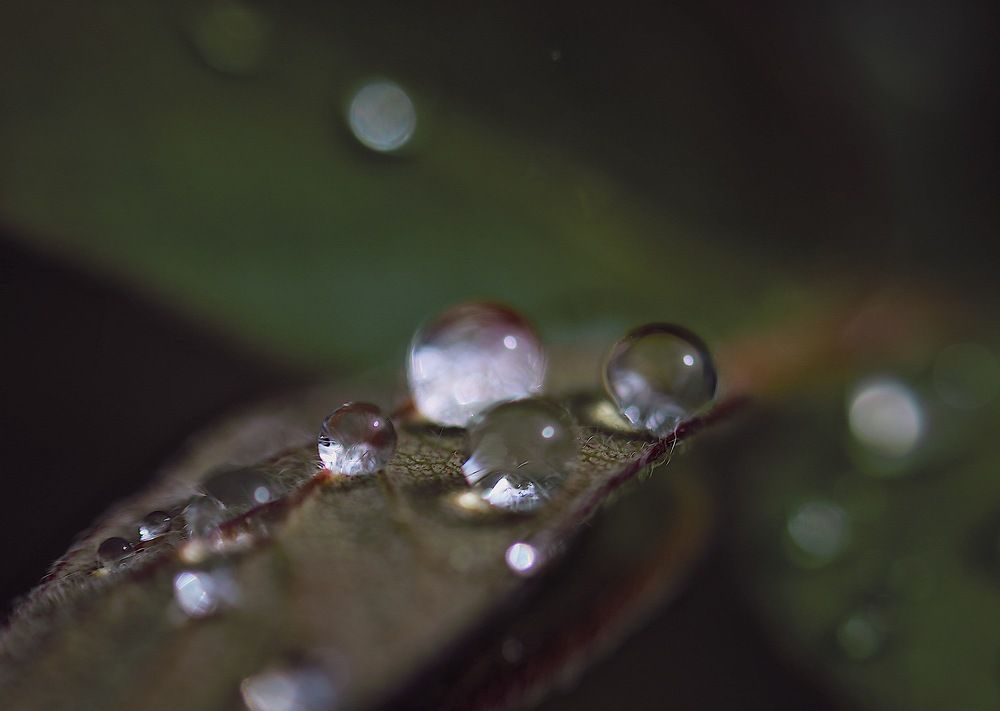 Photograph by Дарья Григорьева