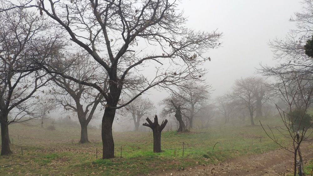 Photograph by Roula Silintzi