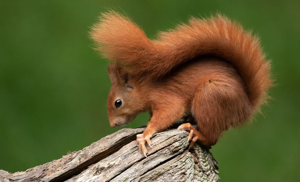 Фотография автора MARIA KULA