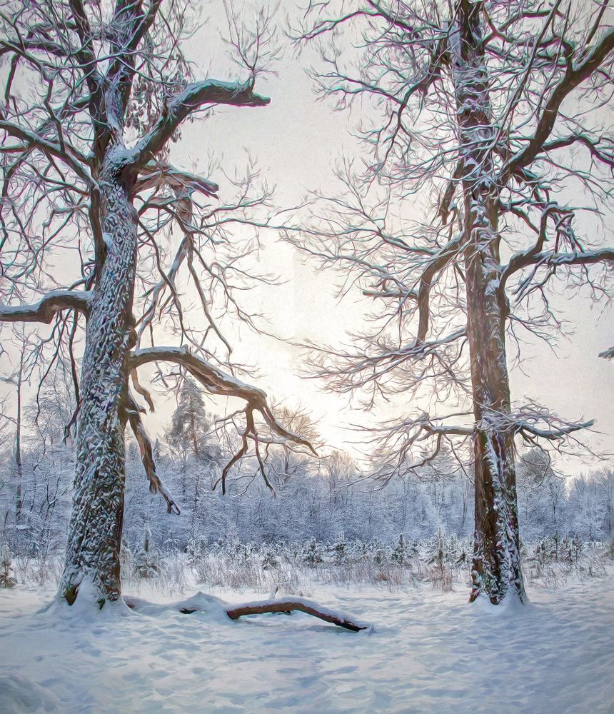 Photograph by Геннадий