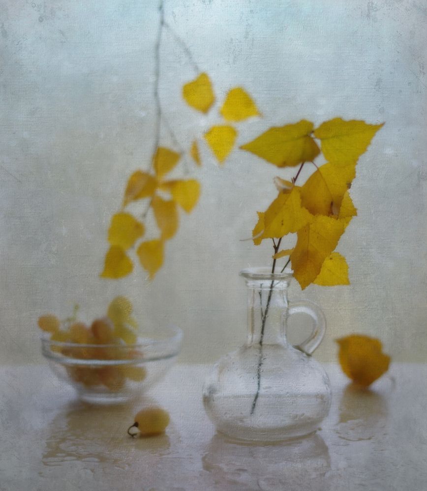 Photograph by Наталия К