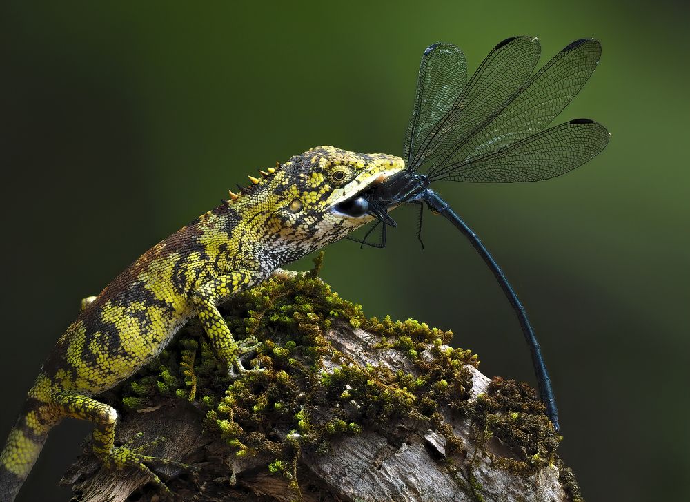 Photograph by Nghia Nguyen Huu