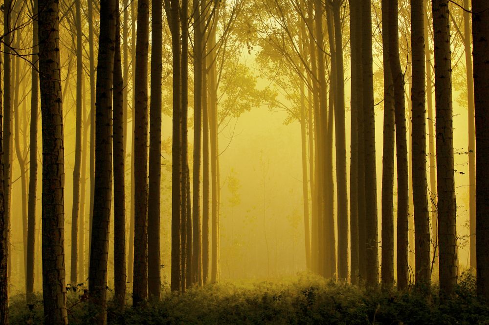 Фотография автора Orhan Bektaş