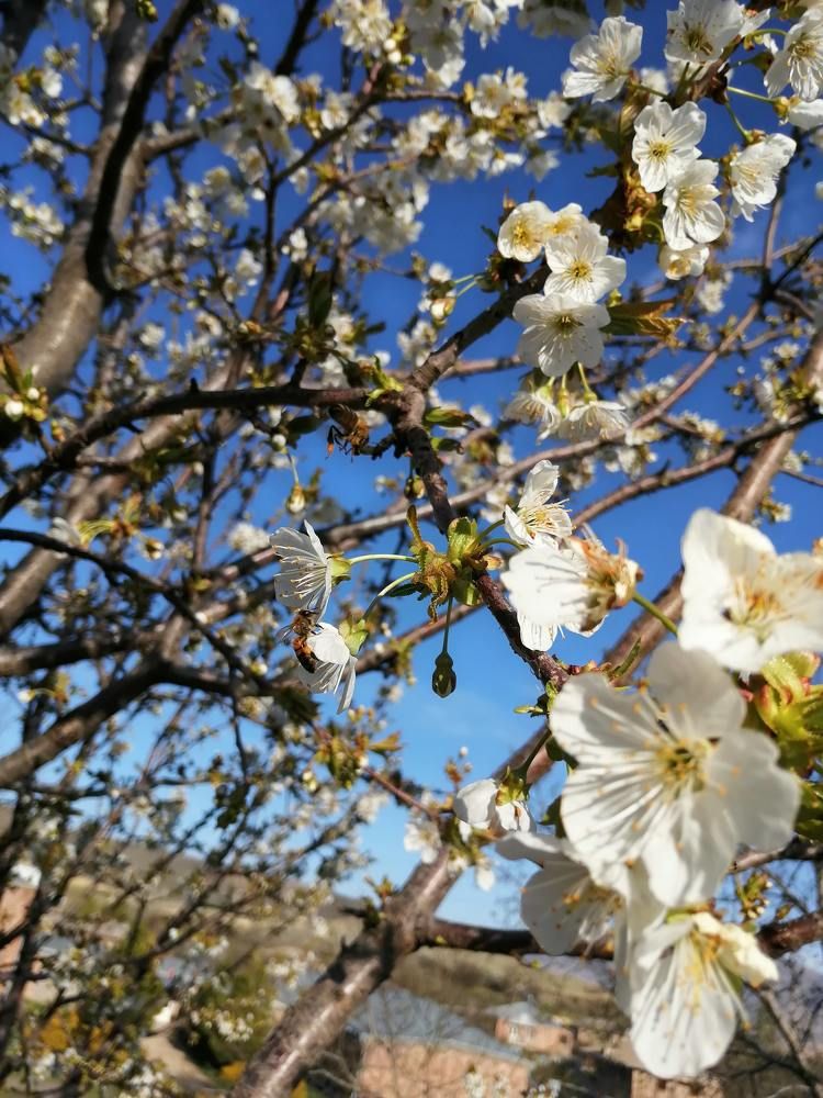 Photograph by Ashkhen Minasyan