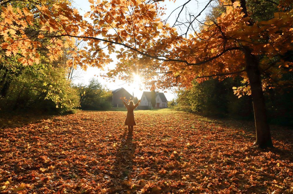 Photograph by Вячеслав Крюковский