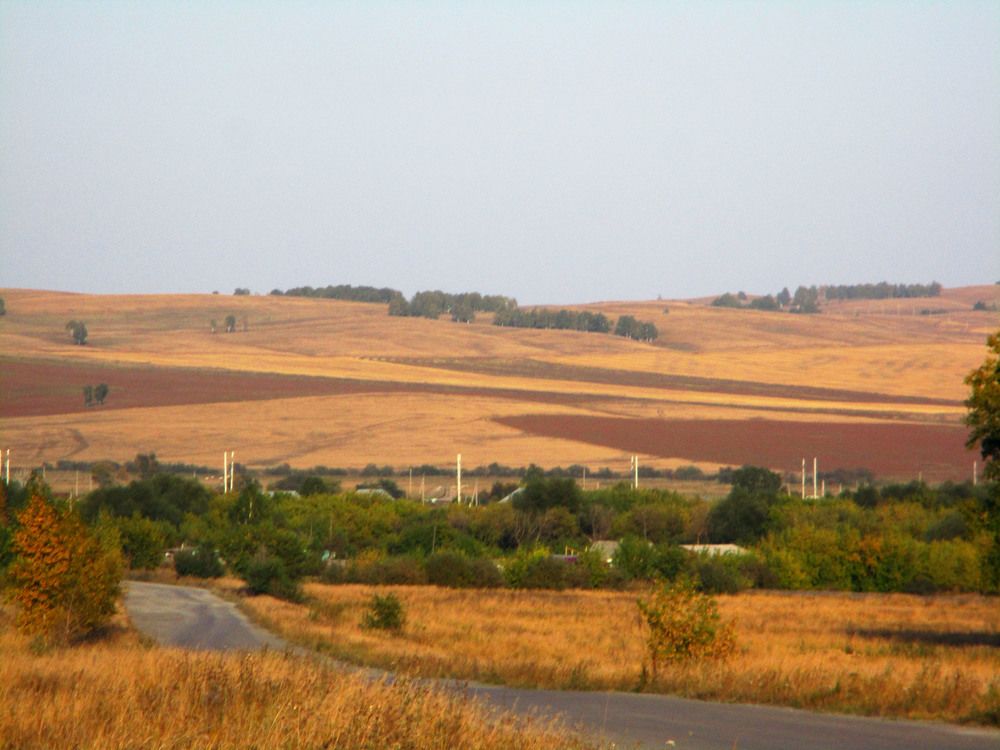 Photograph by Анастасия Старикова