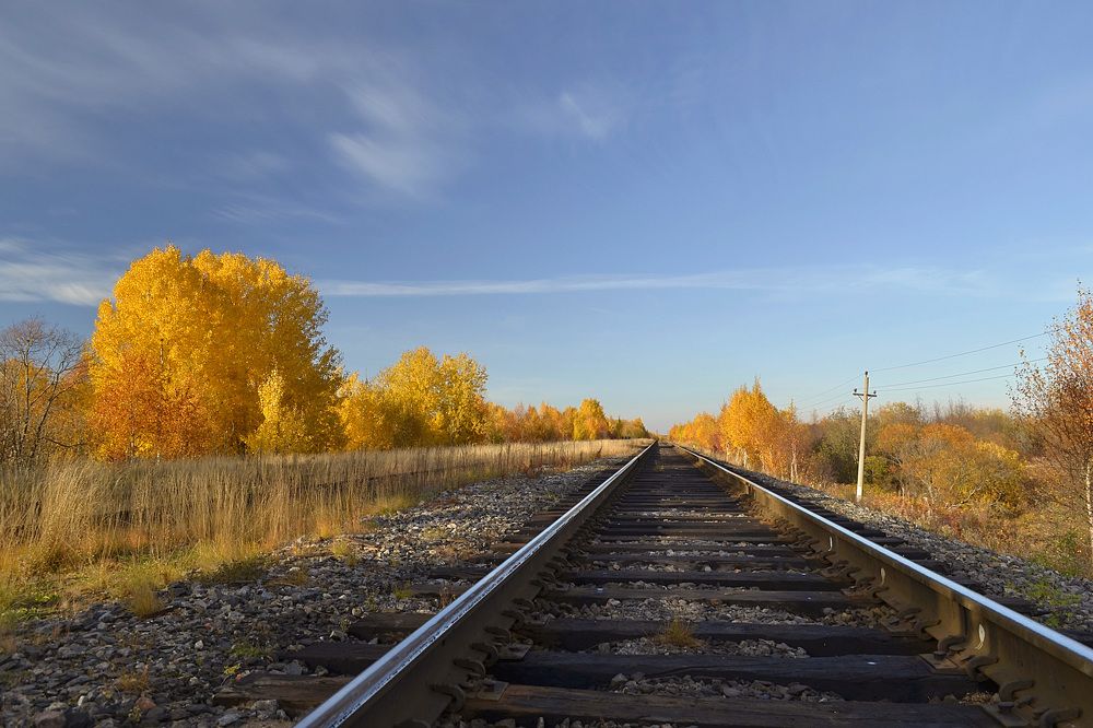 Photograph by Соколова Елена