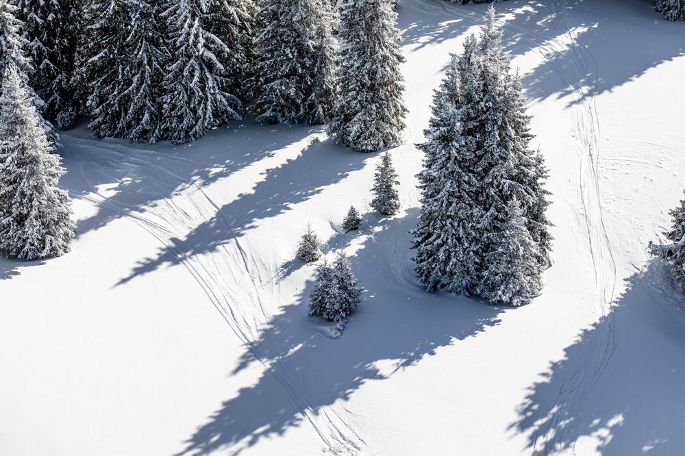 Photograph by Alexander Kalenski