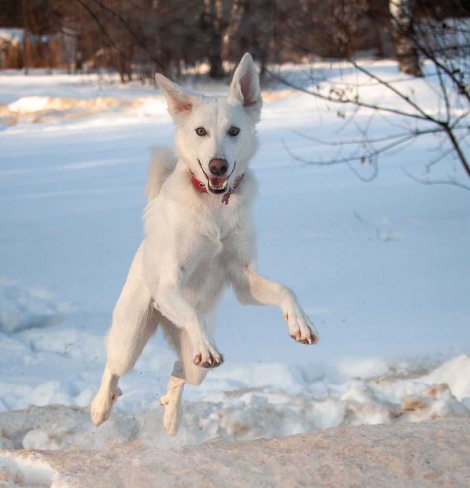 Photograph by Yuliya Bocharova