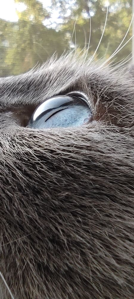 Photograph by Светлана Холодова