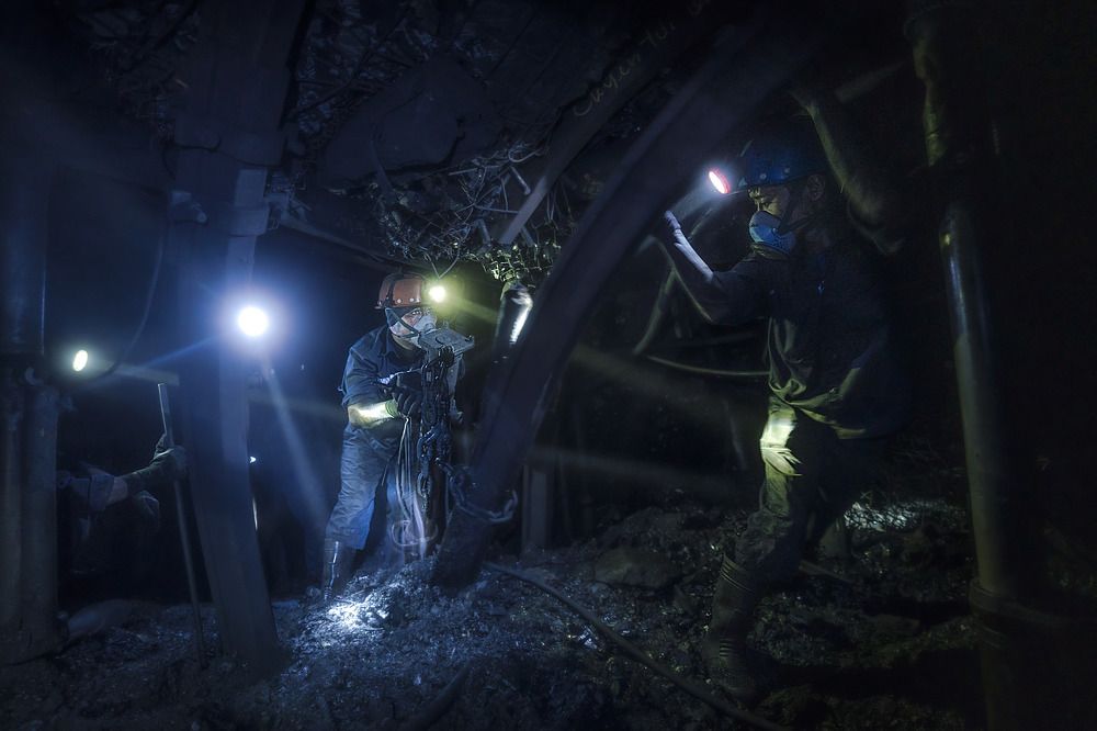 Фотография автора LÂM VŨ