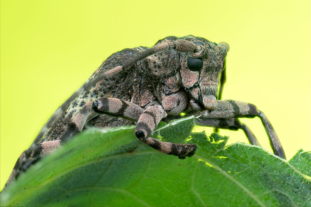 Photograph by Alstein Lai