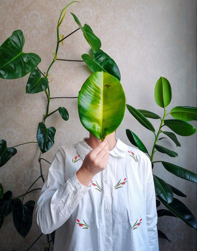 Photograph by Milad Haddadiyan