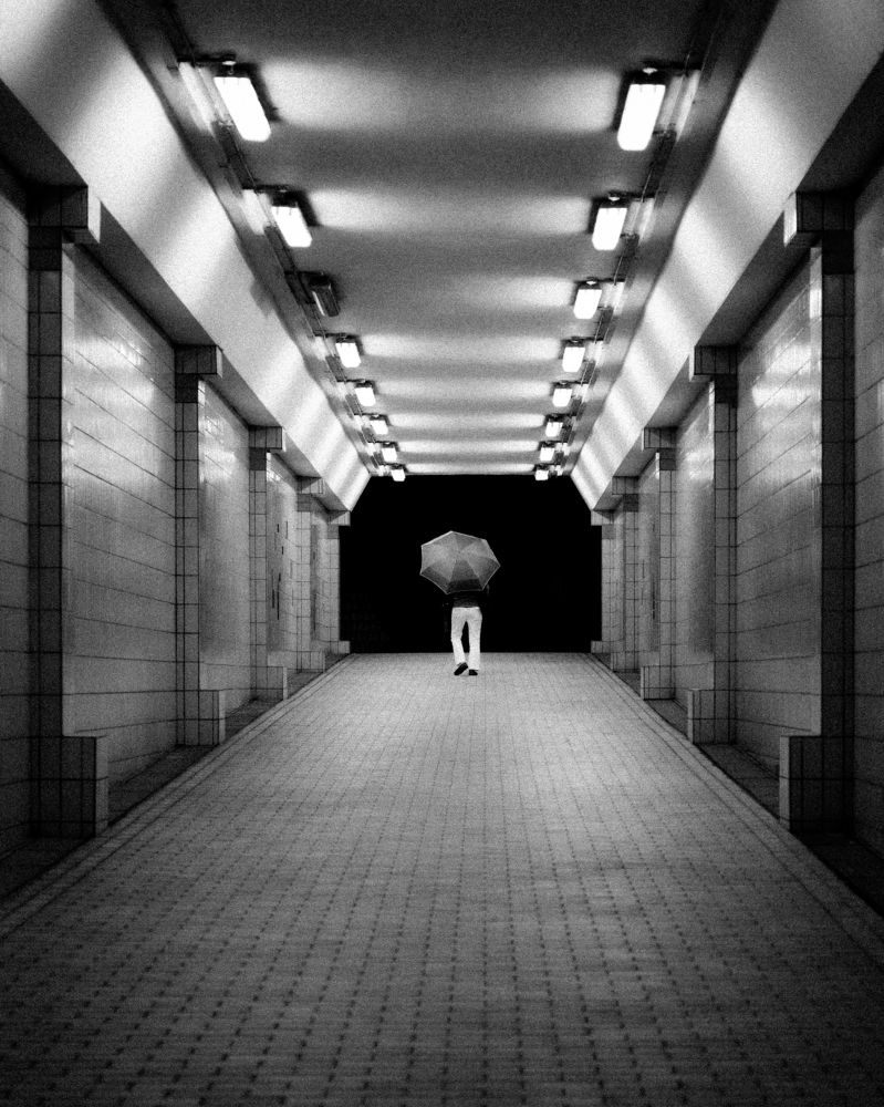 Photograph by Allen Arango