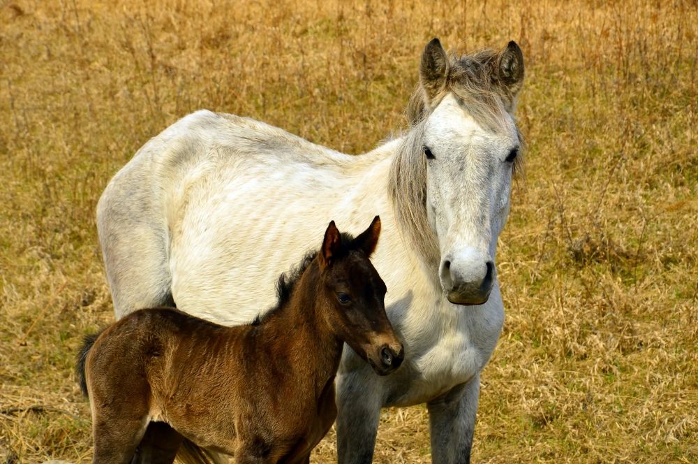 Photograph by Nadezhda