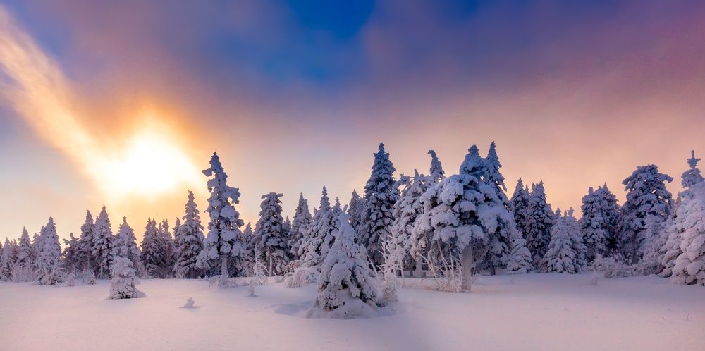 Photograph by Сергей Евдокимов