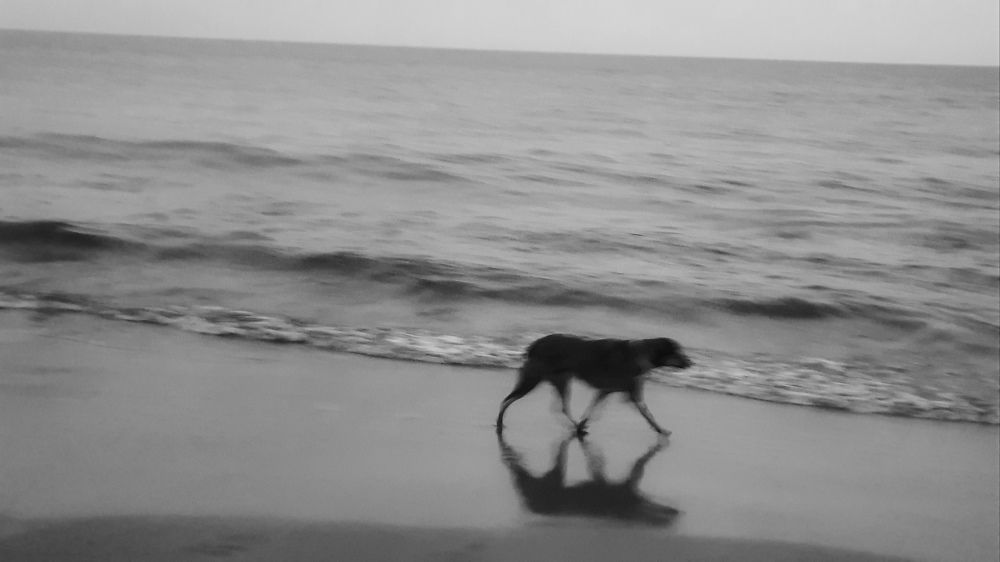 Photograph by Himanshu Gehlot