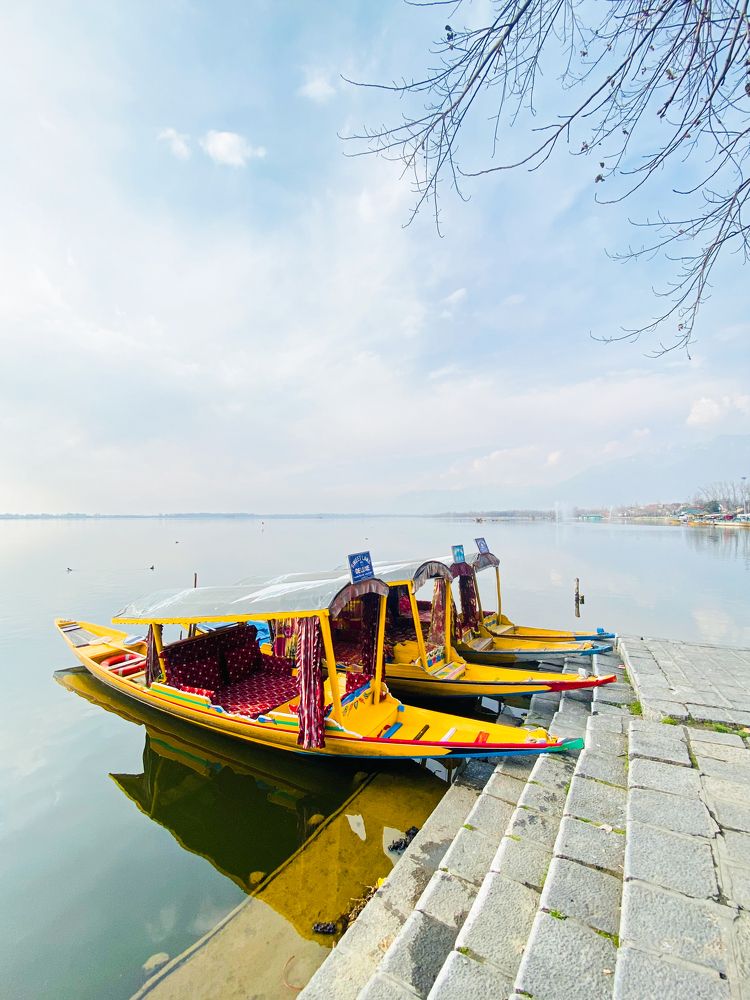 Photograph by Malik Sajid