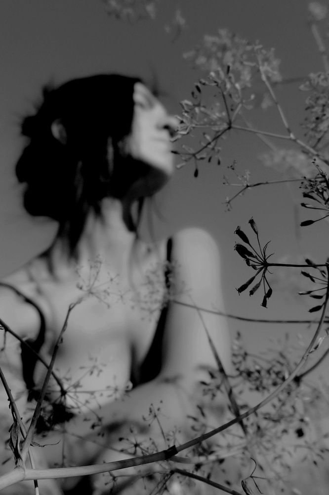 Photograph by Natalia