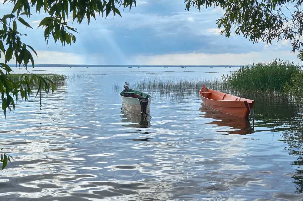 Photograph by Евгений Вологжанин