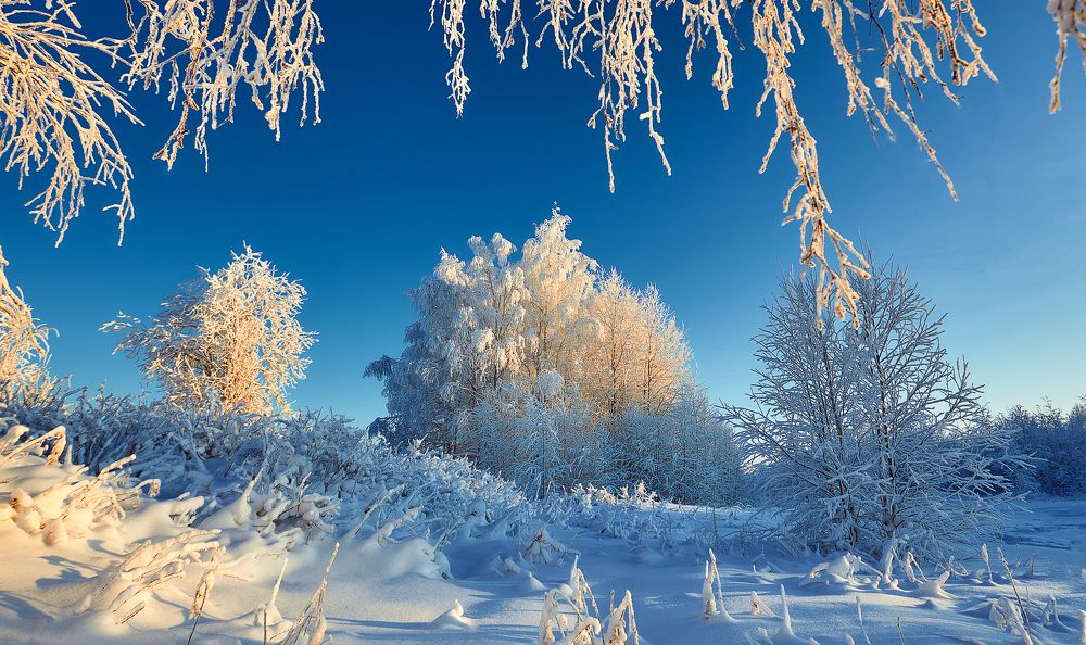 Photograph by Илья Лисаускас