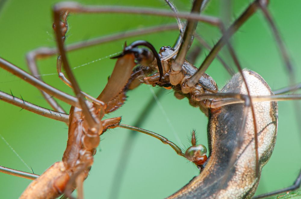 Photograph by Chamara Sulakkhana Polwatta Siriyalage