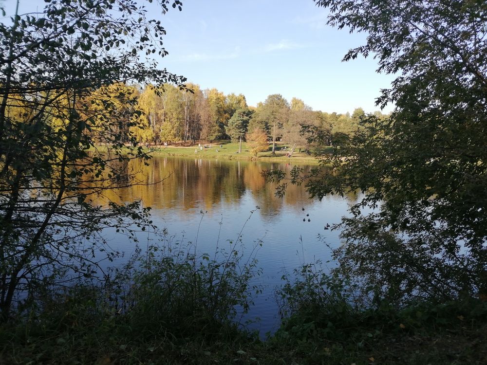 Photograph by Любовь Новикова