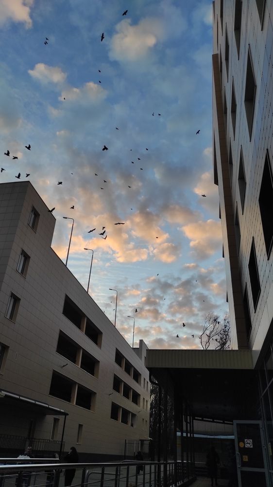 Photograph by Елизавета Можельская