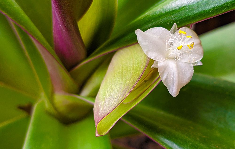 Photograph by Юлия Кононова