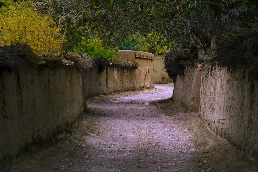 Photograph by Behnam Lohrasebi